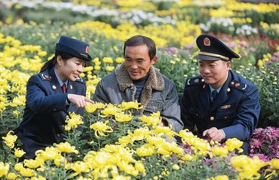 譙城工商積極引導(dǎo)農(nóng)民轉(zhuǎn)型，花木種植經(jīng)營(yíng)成致富新路徑