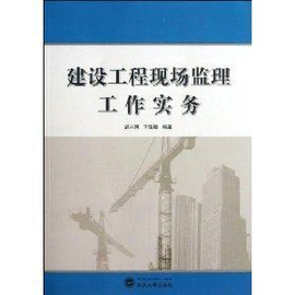 建設(shè)工程現(xiàn)場(chǎng)監(jiān)理工作實(shí)務(wù)——水運(yùn)工程監(jiān)理